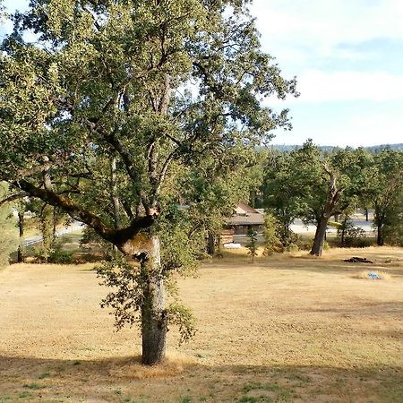 New Charming 2 Bedrooms Unit Close To Everything Oakhurst Dış mekan fotoğraf